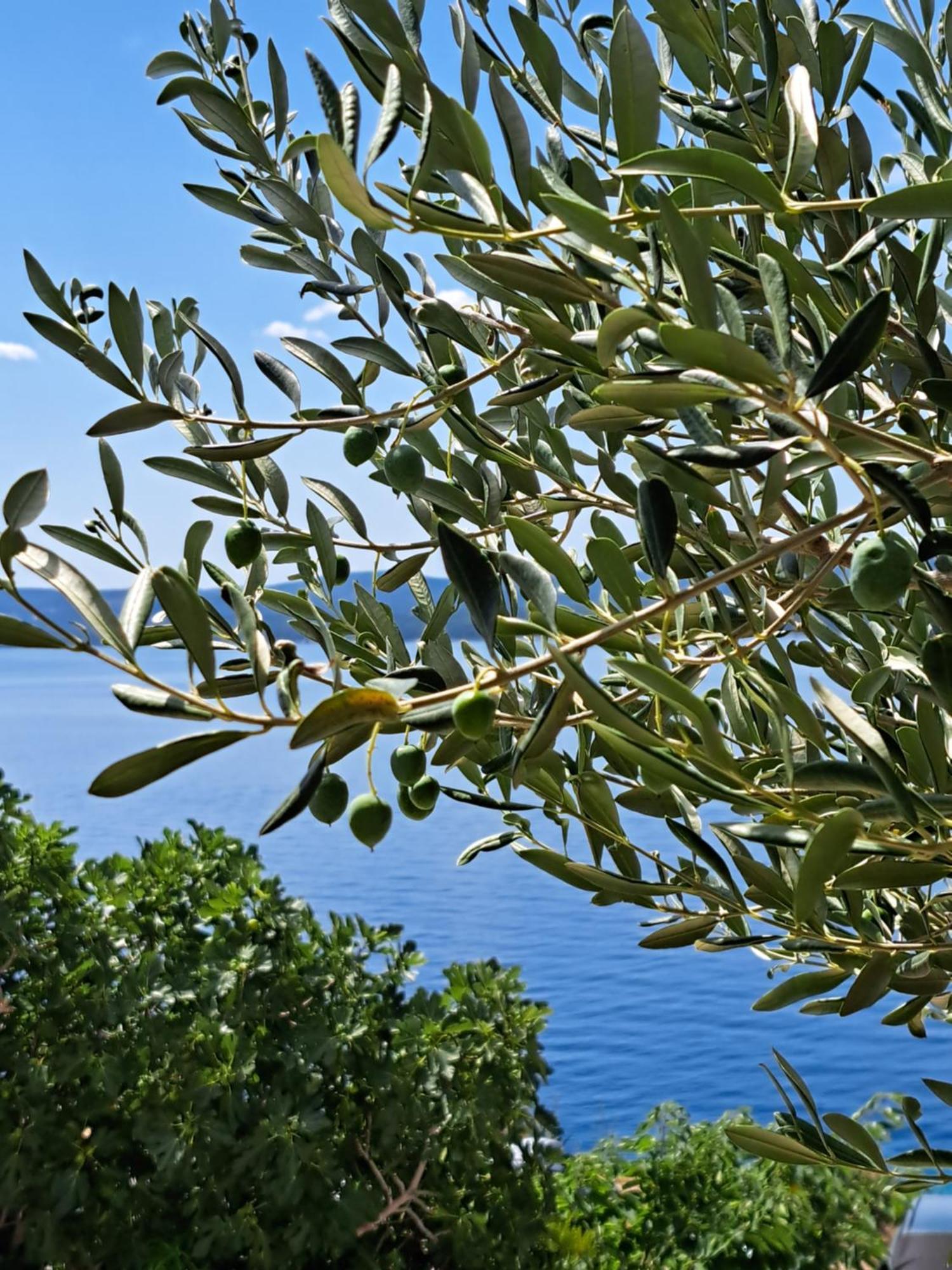 Sita Apartmani Lokva Rogoznica Εξωτερικό φωτογραφία